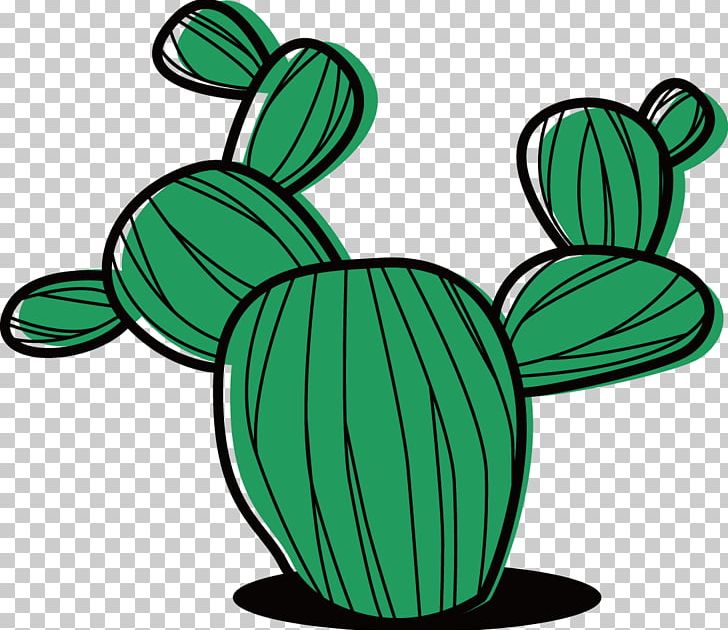 Cactaceae Succulent Plant Cartoon PNG, Clipart, Cactus, Cactus Vector, Decoration, Euclidean Vector, Flower Free PNG Download
