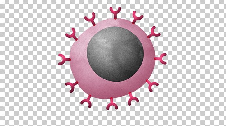 Cytotoxic T Cell Lymphocyte Immune System Immunity PNG, Clipart, Adaptive Immune System, Aids, Antigen, Blood, Blood Cell Free PNG Download