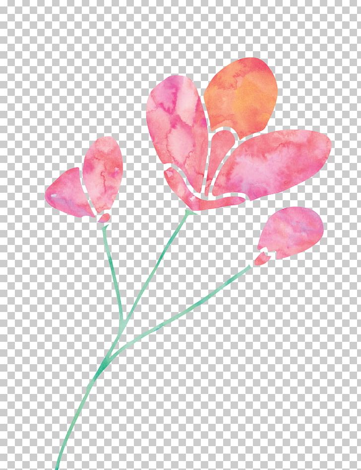 Tulip Pink PNG, Clipart, Computer Icons, Cut Flowers, Download, Editing, Flower Free PNG Download