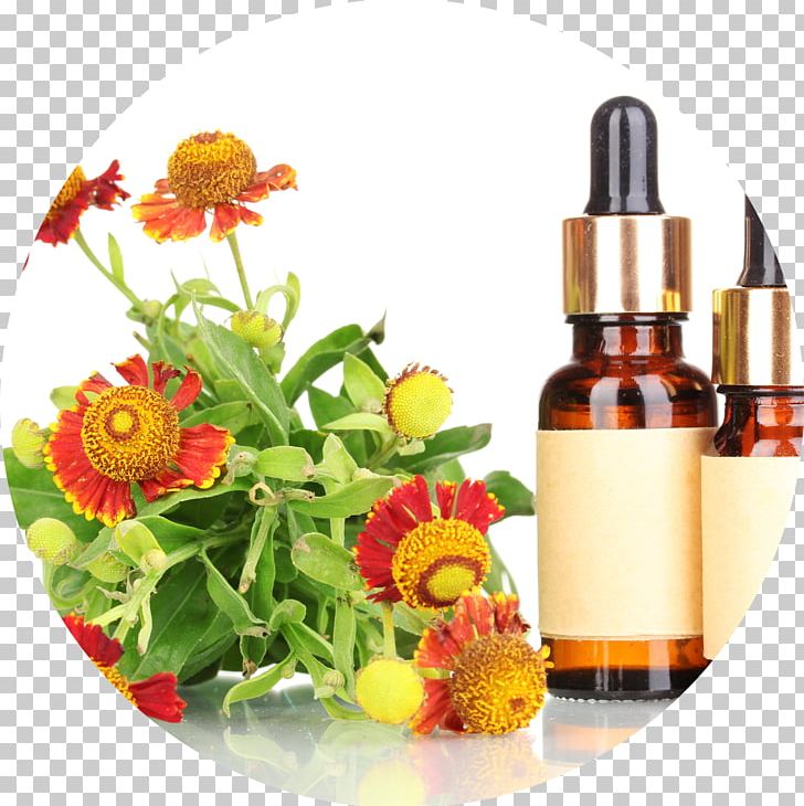 Bach Flower Remedies Therapy Homeopathy Apotheke Am Zoo Health PNG, Clipart, Alternative Health Services, Bach Flower Remedies, Cut Flowers, Disease, Edward Bach Free PNG Download