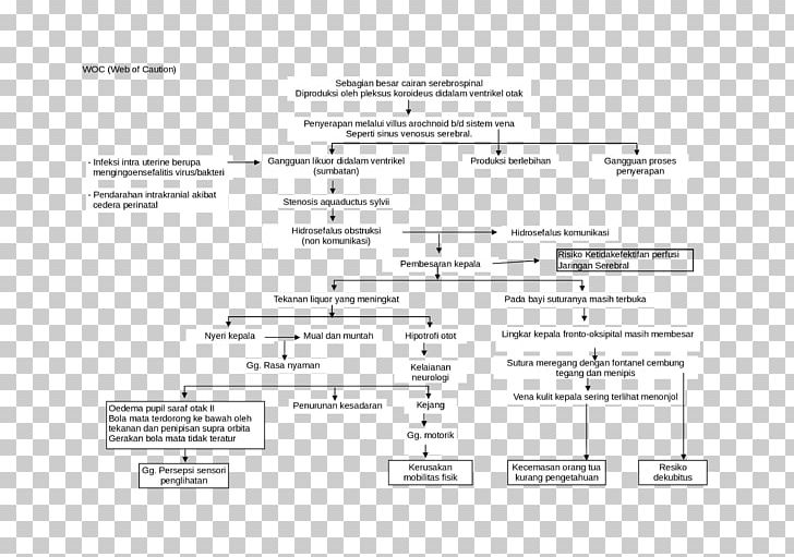 Hydrocephalus Shunt Complication Spasm Child PNG, Clipart, Angle, Atrial Septal Defect, B D, Black And White, Brand Free PNG Download