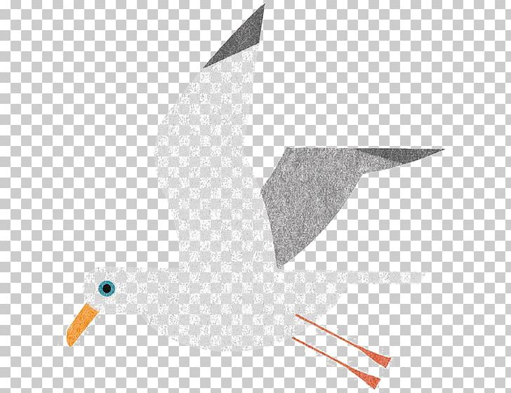 Bird Japan Gulls Illustrator Illustration PNG, Clipart, Animals, Balloon Cartoon, Beak, Bird, Birds Free PNG Download