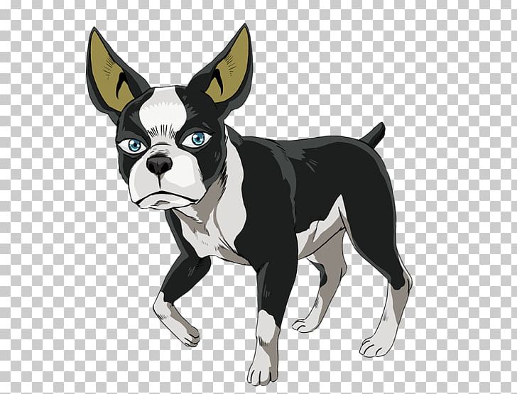 Boston Terrier Dog Breed Non-sporting Group Breed Group (dog) Snout PNG, Clipart, Boston Terrier, Breed, Breed Group Dog, Carnivoran, Dog Free PNG Download