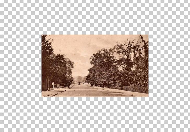Hampstead Heath Paper Bayswater The Old Bull And Bush North End Tube Station PNG, Clipart, Bayswater, Hampstead, Hampstead Heath, Hitsujigaoka Observation Hill, Landscape Free PNG Download