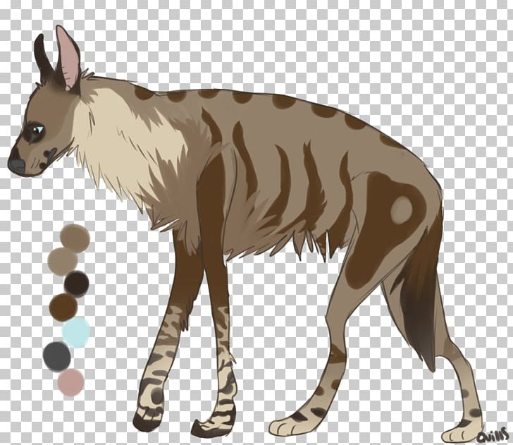 Macropodidae Dog Mammal Canidae Animal PNG, Clipart, Animal, Animals, Canidae, Carnivora, Carnivoran Free PNG Download