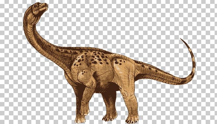 Antarctosaurus Apatosaurus Jainosaurus Argentinosaurus Stegosaurus PNG, Clipart, Aeolosaurus, Animal Figure, Antarctosaurus, Apatosaurus, Argentinosaurus Free PNG Download