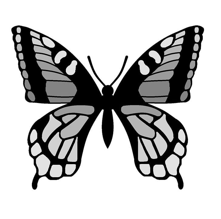 Butterfly Drawing PNG, Clipart, Arthropod, Black And White, Brush Footed Butterfly, Butterfly, Drawing Free PNG Download