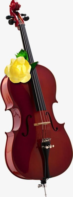 Cello Instrument PNG, Clipart, Cello, Cello Clipart, Flower, Instrument Clipart, Instruments Free PNG Download