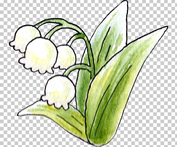 Floral Design Lily Of The Valley Flower Uda PNG, Clipart, Artwork, Coloring Book, Cut Flowers, Fictional Character, Flora Free PNG Download