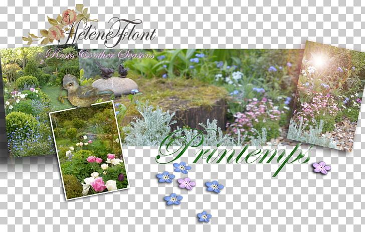 Flower Floral Design Lilac Purple PNG, Clipart, Banner, Ecosystem, Flora, Floral Design, Flower Free PNG Download