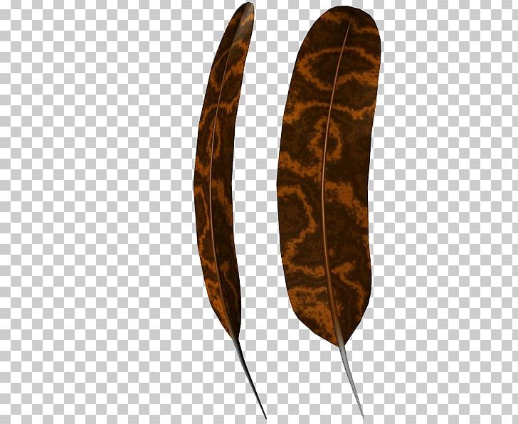 Leaf PNG, Clipart, Brown Feathers, Feather, Leaf Free PNG Download