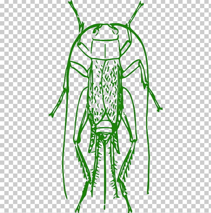 Pharmore Pest Control Drawing PNG, Clipart, Artwork, Biology, Black And White, Cricket, Drawing Free PNG Download