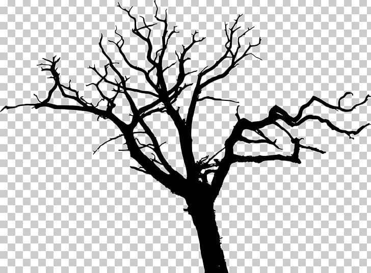 Tree Silhouette Branch Drawing PNG, Clipart, Black And White, Branch, Drawing, Flora, Flower Free PNG Download