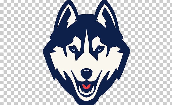 University Of Connecticut Connecticut Huskies Men's Basketball Connecticut Huskies Football Connecticut Huskies Women's Basketball East Coast Rugby Conference PNG, Clipart, Animals, Carnivoran, Cartoon, College, Connecticut Free PNG Download