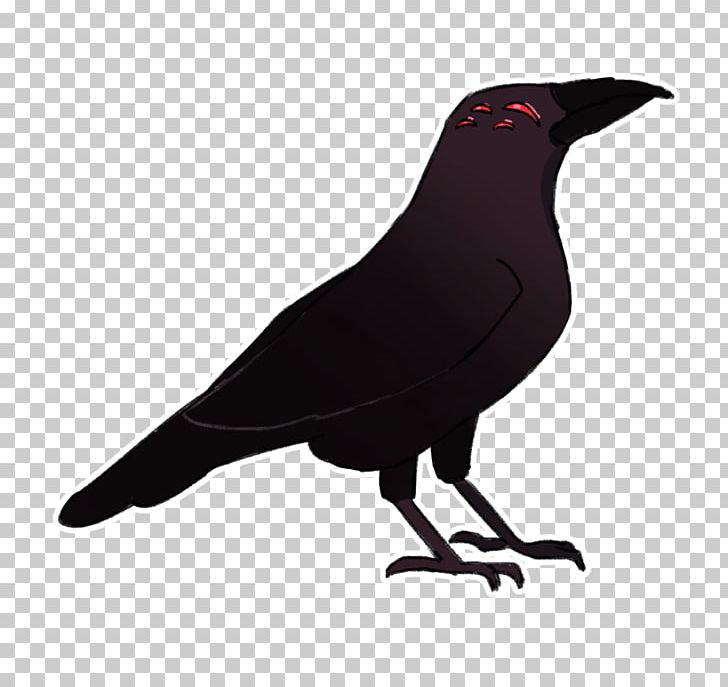 American Crow New Caledonian Crow Bird Common Raven PNG, Clipart, American Crow, Animals, Attitude, Beak, Bird Free PNG Download