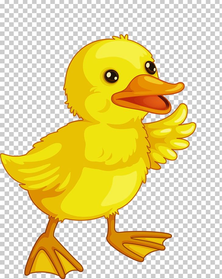 Baby Ducks Baby Duckling Drawing PNG, Clipart, Animals, Baby, Baby Duckling, Baby Ducks, Bath Free PNG Download