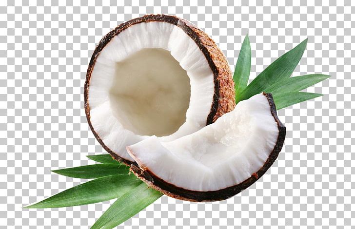 Coconut Water Coconut Milk Coconut Oil Axe7axed Na Tigela PNG, Clipart, Axe7axed Na Tigela, Coconut, Coconut Leaf, Coconut Leaves, Coconut Macaroon Free PNG Download