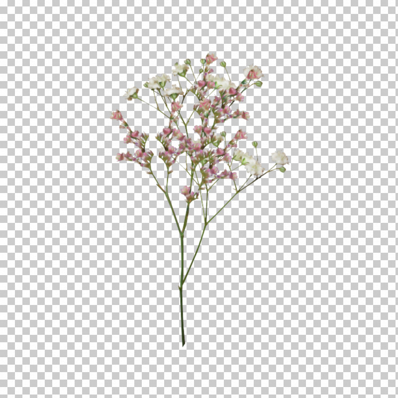 Palm Trees PNG, Clipart, Blossom, Branch, Cut Flowers, Flower, Flowering Dogwood Free PNG Download