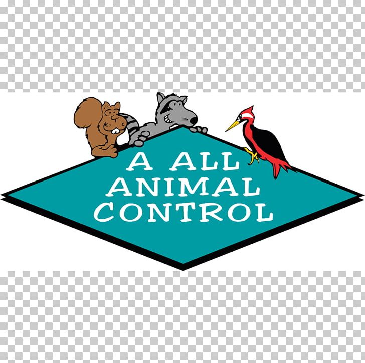 A All Animal Control Of Tampa Bay Nuisance Wildlife Management Animal Control And Welfare Service PNG, Clipart, Animal, Animal Control And Welfare Service, Animals, Animal Shelter, Area Free PNG Download