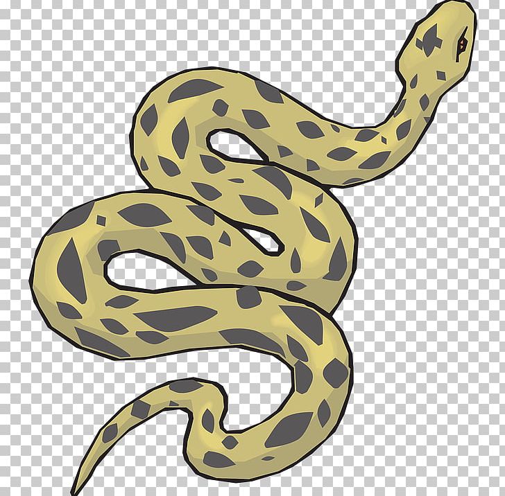 Anaconda PNG, Clipart, Anaconda Free PNG Download