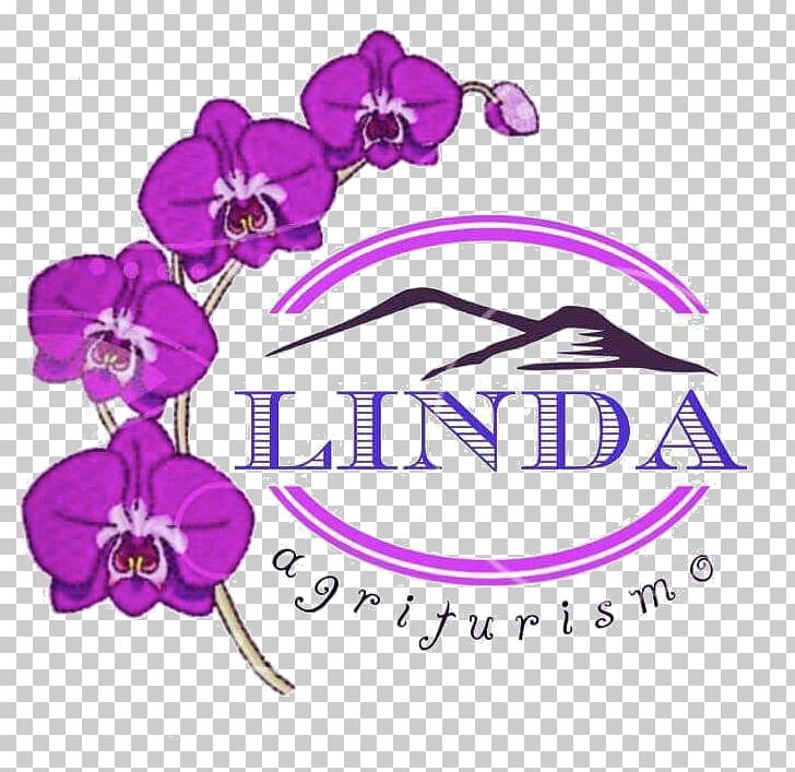 Floral Design Machine Embroidery Orchids PNG, Clipart, Artwork, Body Jewelry, Cut Flowers, Embroidery, Flora Free PNG Download