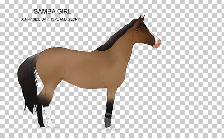 Mane Mustang Foal Stallion Colt PNG, Clipart, Bridle, Colt, Foal, Halter, Horse Free PNG Download