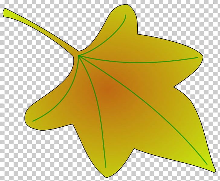 Open Graphics Leaf PNG, Clipart, Computer Icons, Drawing, Fig Leaf, Flora, Flower Free PNG Download