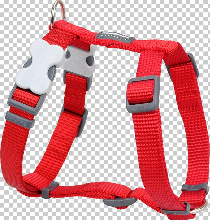 Dog Harness Dingo Dog Collar Horse Harnesses PNG, Clipart, Animals, Collar, Dingo, Dog, Dog Collar Free PNG Download