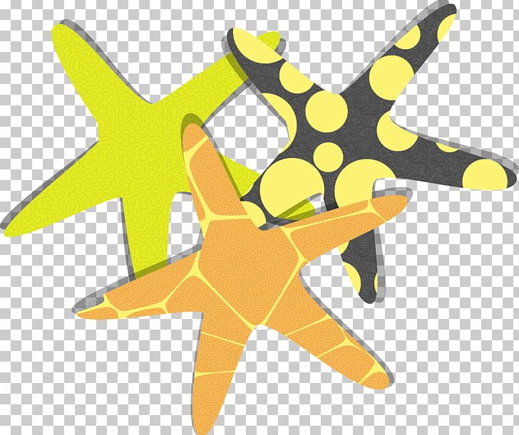 Starfish Euclidean PNG, Clipart, Animals, Art, Beautiful Starfish, Happy Birthday Vector Images, Marine Invertebrates Free PNG Download