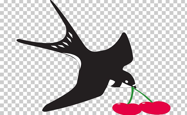 Swallow Drawing PNG, Clipart, Barn Swallow, Download, Drawing, Free Content, Pixabay Free PNG Download
