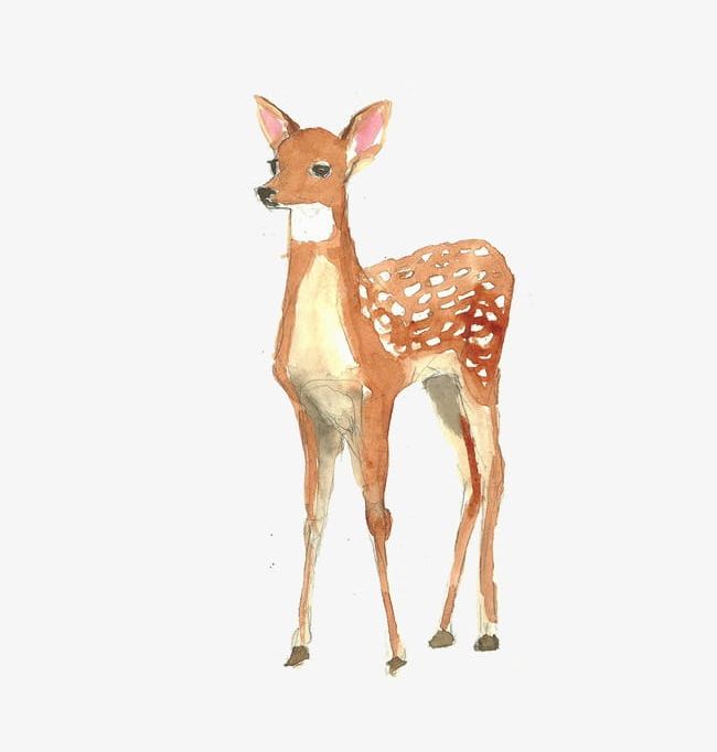 Watercolor Deer PNG, Clipart, Animal, Deer, Deer Clipart, Watercolor, Watercolor Clipart Free PNG Download