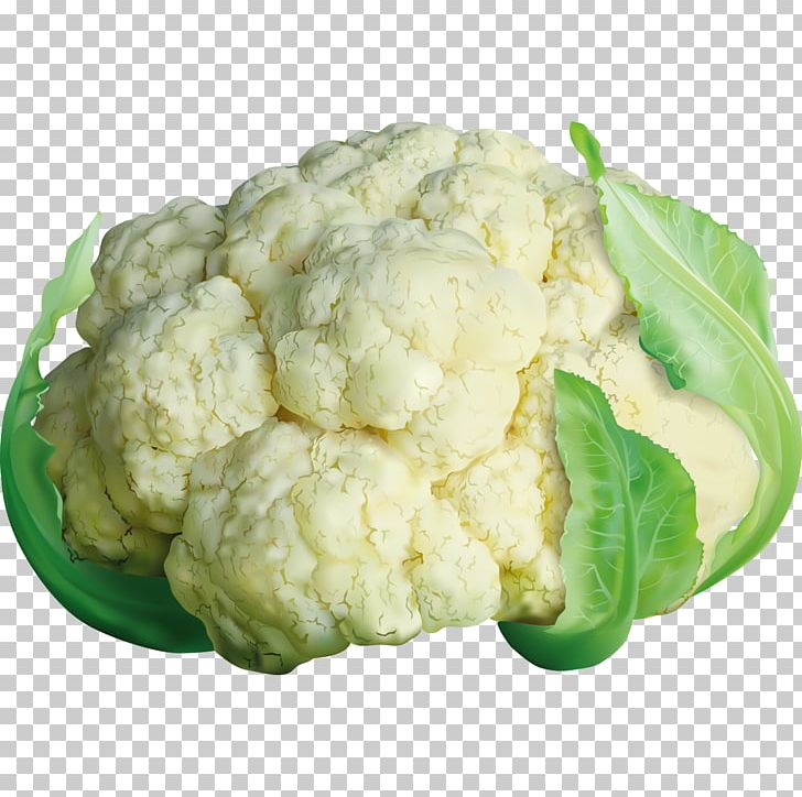 Cauliflower Cabbage Brussels Sprout Broccoli PNG, Clipart, Cabbage Vector, Chinese Cabbage, Food, Leaf Vegetable, Material Free PNG Download