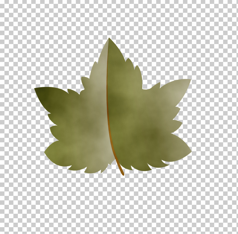 Leaf M-tree Tree Science Plant Structure PNG, Clipart, Autumn Leaf, Biology, Cartoon Leaf, Fall Leaf, Leaf Free PNG Download