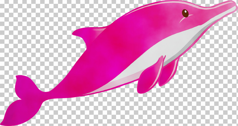 Pink Dolphin Fin Cetacea Bottlenose Dolphin PNG, Clipart, Animal Figure, Bottlenose Dolphin, Cetacea, Common Dolphins, Dolphin Free PNG Download