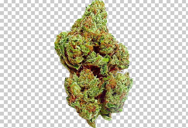 Kush Blue Dream Medical Cannabis Cannabis Smoking PNG, Clipart, Blue Dream, Bud, Cannabidiol, Cannabis, Cannabis Sativa Free PNG Download