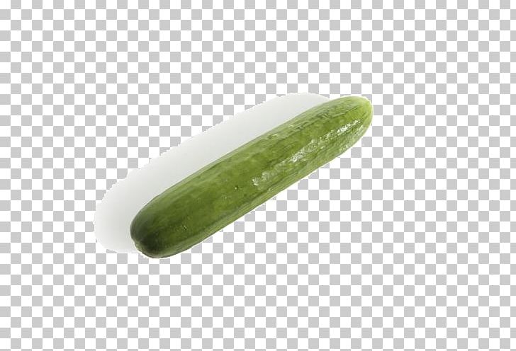 Pickled Cucumber Vegetable PNG, Clipart, Autumn, Autumnal, Autumn Cucumber, Autumn Green Cucumber, Autumn Leaf Free PNG Download