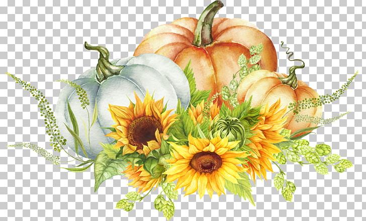 Watercolor Painting Paper Floral Design Flower PNG, Clipart, Art, Autumn, Blue, Chrysanths, Cucurbita Free PNG Download