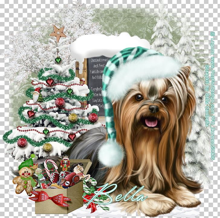 Yorkshire Terrier Dog Breed Companion Dog Christmas Ornament Toy Dog PNG, Clipart, Breed, Carnivoran, Christmas, Christmas Decoration, Christmas Ornament Free PNG Download