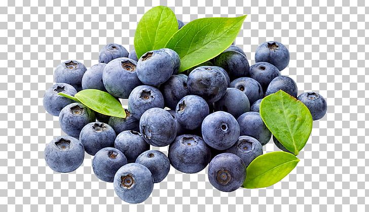 Blueberry Fruit Food Saturated Fat PNG, Clipart, Antioxidant, Aristotelia Chilensis, Berry, Bilberry, Blueberry Free PNG Download