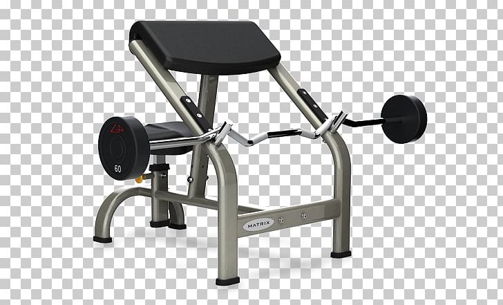 Bench Biceps Curl Weight Training Exercise Machine Exercise Equipment PNG, Clipart, Bench, Biceps, Biceps Curl, Cable Machine, Exercise Free PNG Download