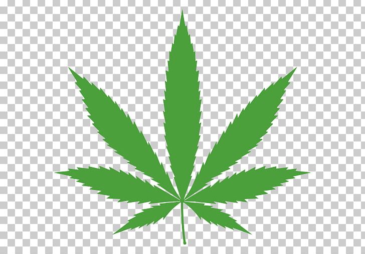 Cannabis Ruderalis Cannabis Cultivation Leaf Marijuana PNG, Clipart, Cannabis, Cannabis Cultivation, Cannabis Ruderalis, Drug, Hemp Free PNG Download