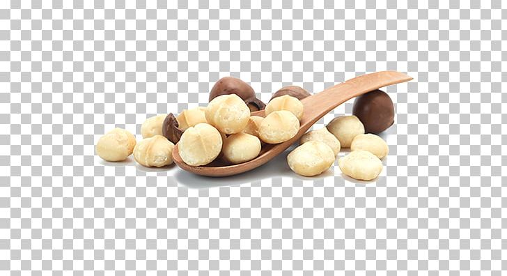 Macadamia Oil Macadamia Nut Tree Nut Allergy PNG, Clipart, Food, Hazelnut, Ingredient, Macadamia, Macadamia Nut Free PNG Download