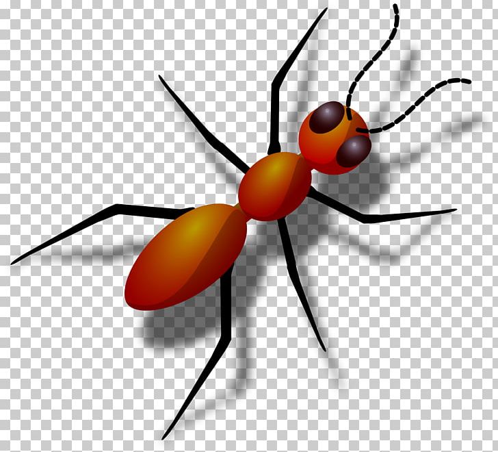 Ant PNG, Clipart, Ant, Ant Clipart, Arthropod, Black Garden Ant, Computer Icons Free PNG Download