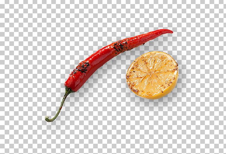 Chili Pepper Vegetarian Cuisine Cayenne Pepper Peperoncino Meat PNG, Clipart, Bakx Foods Bv, Bell Peppers And Chili Peppers, Capsicum Annuum, Cayenne Pepper, Chili Pepper Free PNG Download