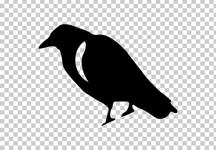 Crow Common Raven PNG, Clipart, Animals, Artwork, Beak, Bird, Black And White Free PNG Download