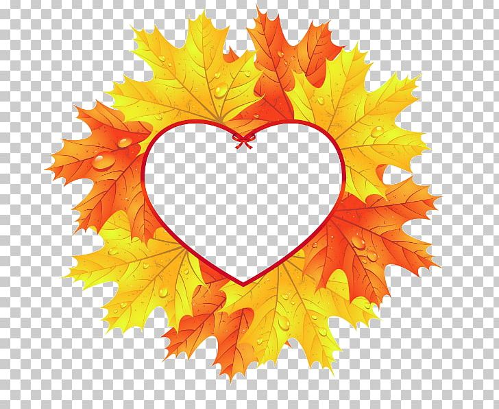 Autumn Leaf Color Heart Maple Leaf PNG, Clipart, Autumn, Autumn Background, Autumn Leaf Color, Can Stock Photo, Computer Wallpaper Free PNG Download