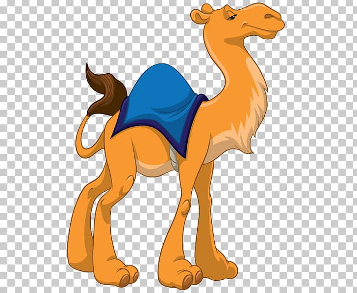 Camel Cartoon PNG, Clipart, Animal Figure, Animals, Animation, Arabian Camel,  Camel Free PNG Download