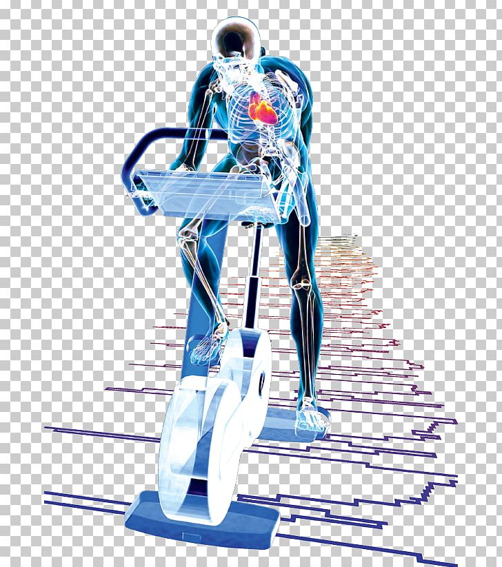 Exercise Physiology Ventricular Hypertrophy Human Body PNG, Clipart, Arm, Breathing, Cardiovascular Disease, Circulatory System, Electric Blue Free PNG Download