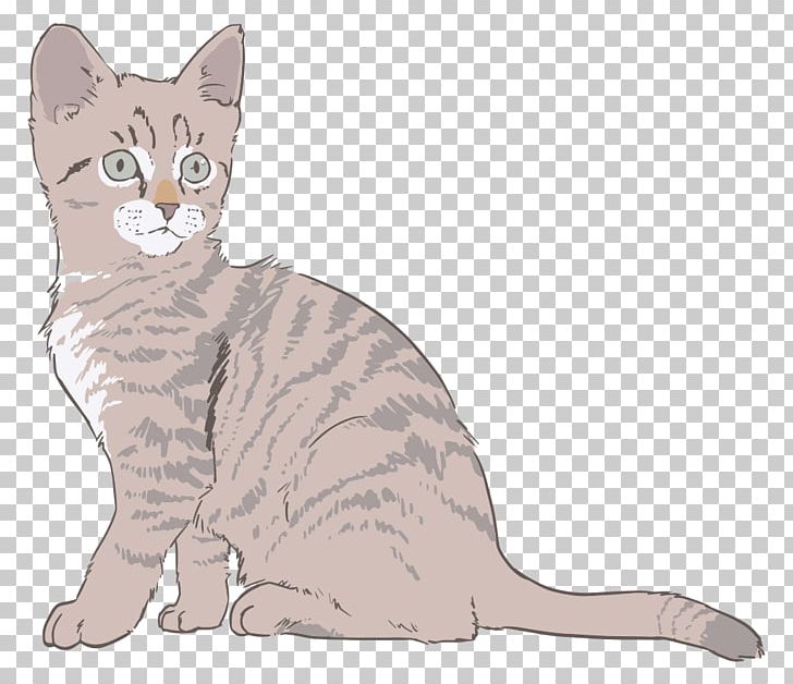 Kitten Cat Drawing PNG, Clipart, American Wirehair, Animal Figure, Asian, California Spangled, Can Stock Photo Free PNG Download