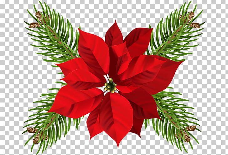 Poinsettia Flower Christmas PNG, Clipart, Art, Candle, Christmas, Christmas Decoration, Christmas Elf Free PNG Download